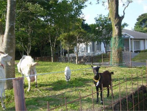 Lilac Hotels And Resort Kanoya Exterior photo